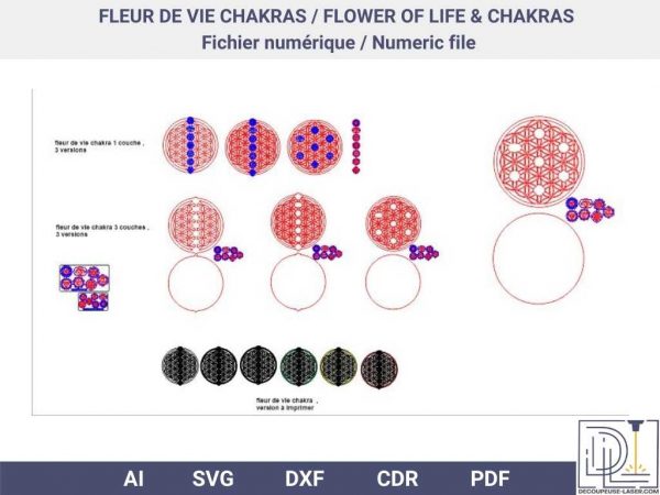 chakra fleur vie