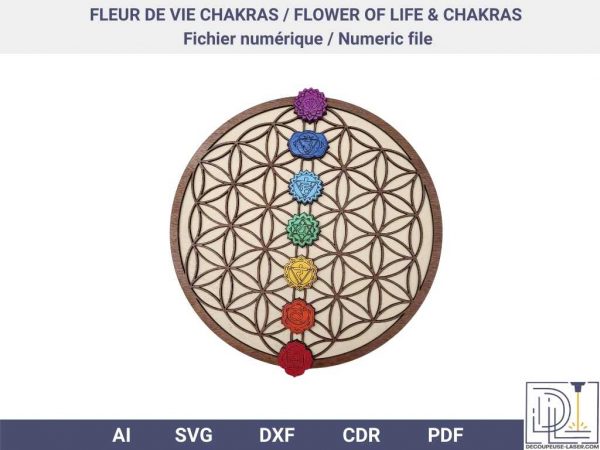 fleur vie chakras